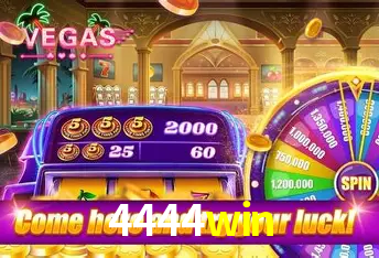 A Experiência Imersiva dos Cassinos Ao Vivo no 4444win